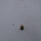 TORNILLO FIJACION PATIN A MORD M10-100X65 P.FINO (ESPECIAL)